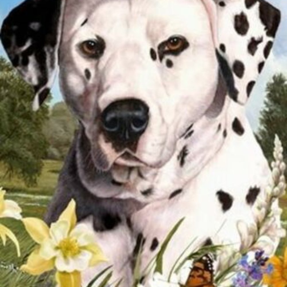 Dalmatian Garden Flag 11" x 15" USA New - Picture 3 of 4